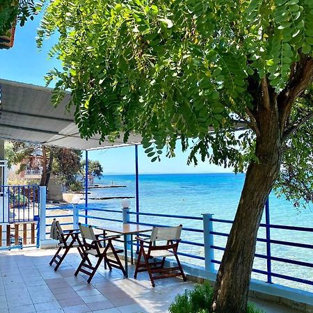 Manolis Studios Thassos Skála Kallirákhis エクステリア 写真