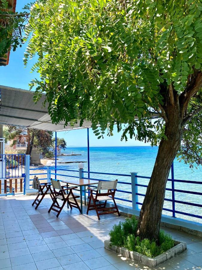 Manolis Studios Thassos Skála Kallirákhis エクステリア 写真