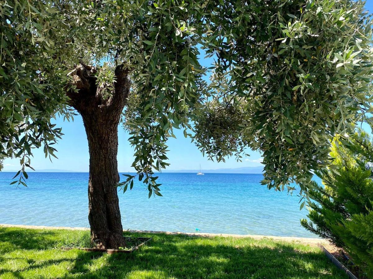 Manolis Studios Thassos Skála Kallirákhis エクステリア 写真