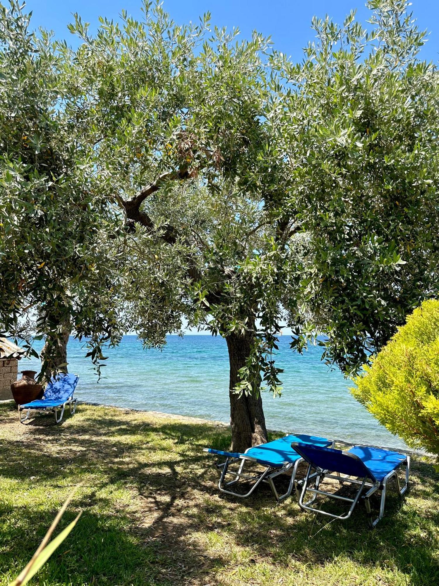 Manolis Studios Thassos Skála Kallirákhis エクステリア 写真