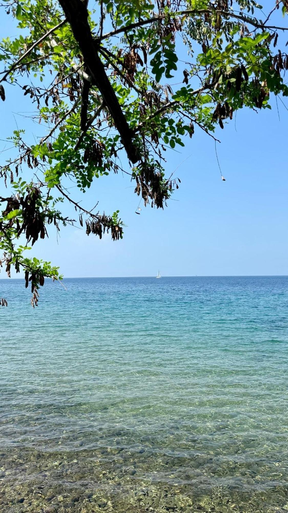 Manolis Studios Thassos Skála Kallirákhis エクステリア 写真